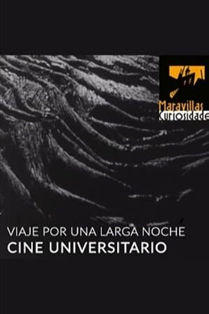 Viaje por una larga noche streaming