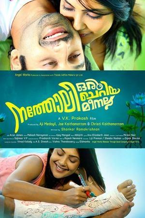 നത്തോലി ഒരു ചെറിയ മീനല്ല streaming