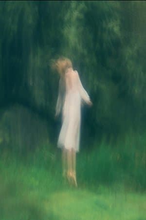 Angelus Novus streaming