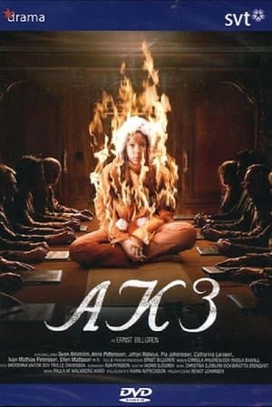 AK3 - Dolda beslut streaming