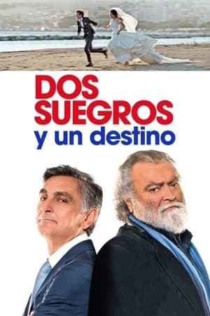 Dos suegros y un destino streaming