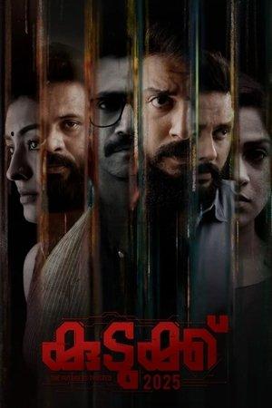 Kudukku 2025 streaming