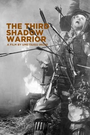 The Third Shadow Warrior streaming
