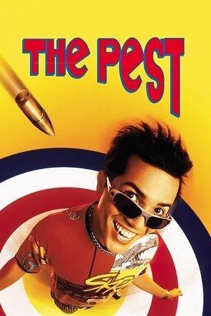 The Pest streaming