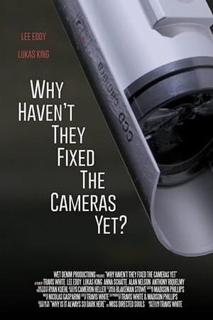 Why Haven't They Fixed the Cameras Yet? streaming