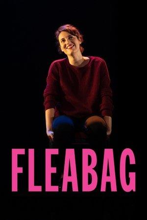 National Theatre Live: Fleabag streaming