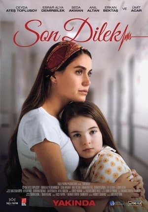Son Dilek streaming