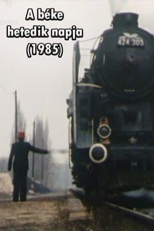 A béke 7. napja streaming