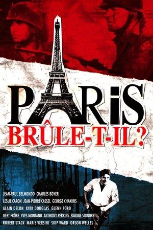 Paris brûle-t-il ? streaming