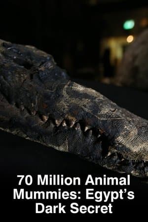 70 Million Animal Mummies: Egypt's Dark Secret streaming