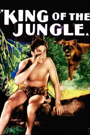 King of the Jungle streaming