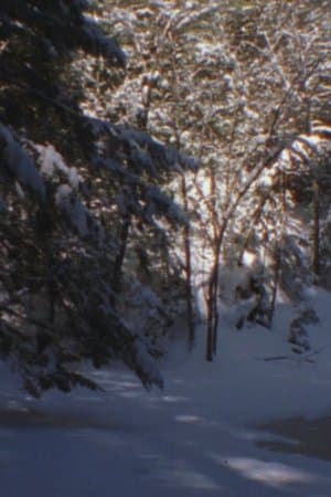 Winter Beyond Winter streaming