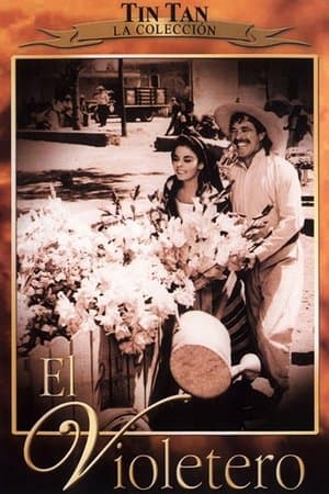 El Violetero streaming