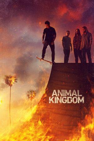 Animal Kingdom streaming