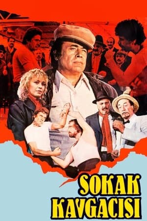 Sokak Kavgacısı streaming