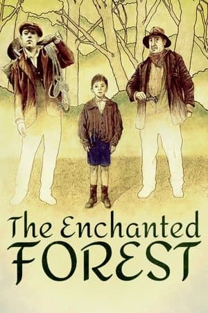 The Enchanted Forest streaming