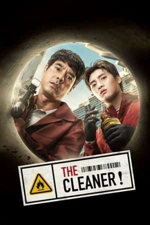 The Cleaner streaming