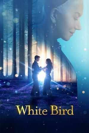 White Bird streaming