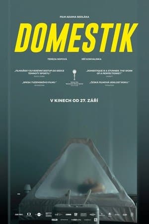Domestik streaming