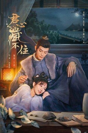 Governor's Secret Love streaming