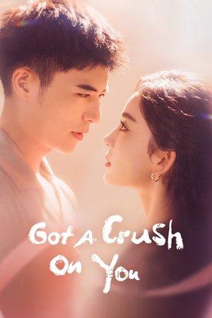 Got a Crush on You streaming