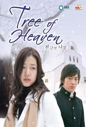 Tree of Heaven streaming