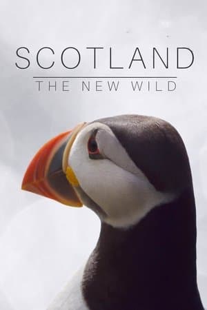Scotland: The New Wild streaming