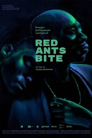 Red Ants Bite streaming