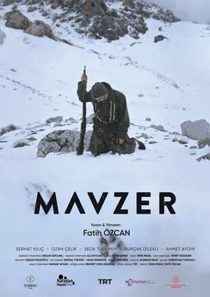 Mavzer streaming