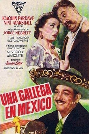 Una gallega en México streaming