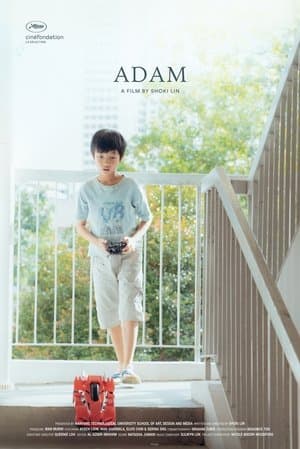 Adam streaming
