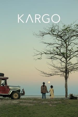 Cargo streaming