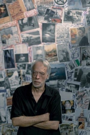 Fausto Fawcett na Cabeça streaming