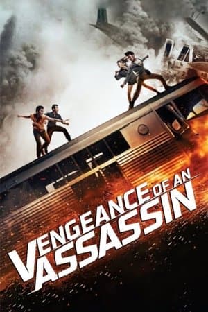 Vengeance of an Assassin streaming
