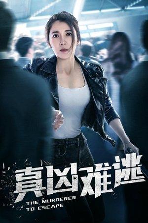 真凶难逃 streaming