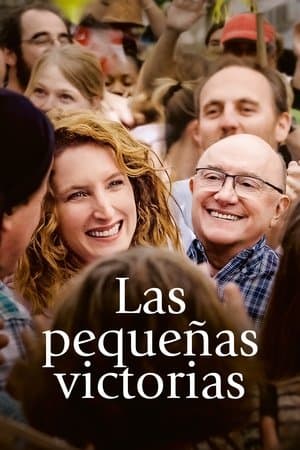 Las pequeñas victorias streaming