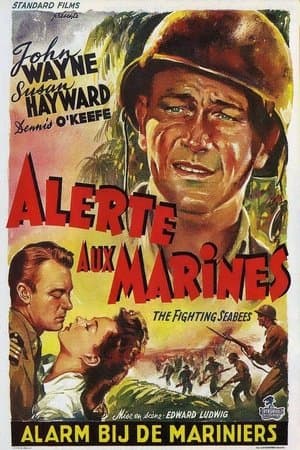 Alerte aux marines streaming