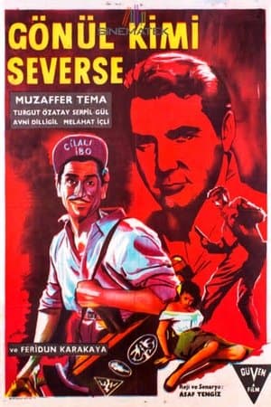 Gönül Kimi Severse streaming
