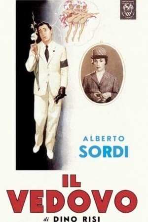 Le Veuf streaming