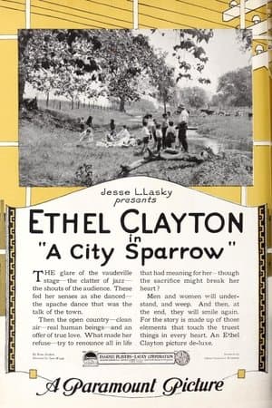 A City Sparrow streaming