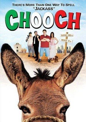 Chooch streaming