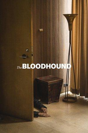 The Bloodhound streaming