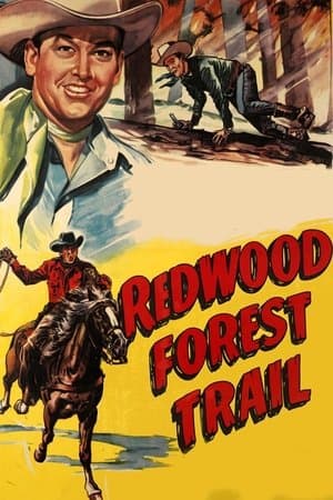 Redwood Forest Trail streaming