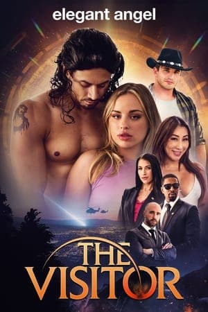 The Visitor streaming