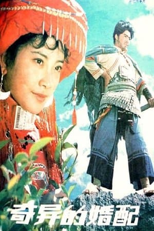 奇异的婚配 streaming