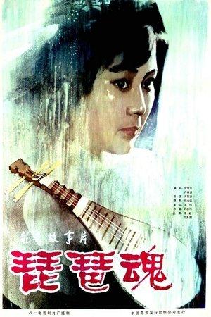 琵琶魂 streaming