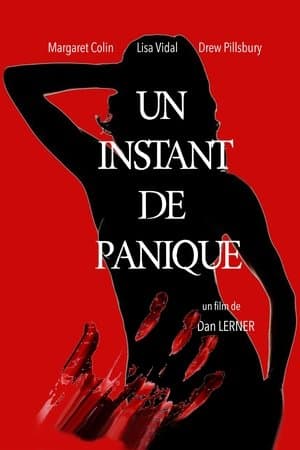 Un instant de panique streaming