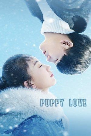 小情书 streaming