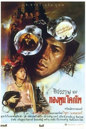The Citizen 2 streaming