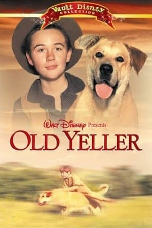 'Old Yeller': Remembering a Classic streaming